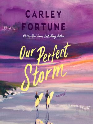 cover image of Our Perfect Storm